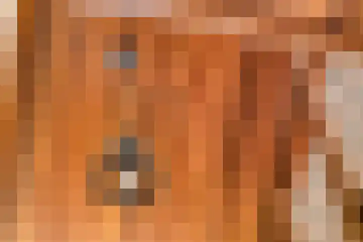Bonenburgerlaan 84 Heerde thumbnail 23