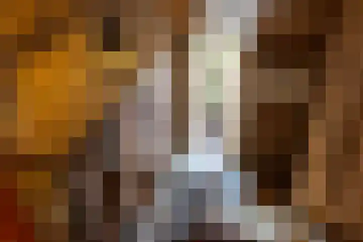 Bonenburgerlaan 84 Heerde thumbnail 24