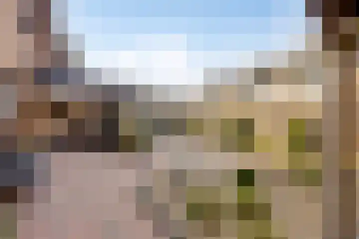 Bonenburgerlaan 84 Heerde thumbnail 35