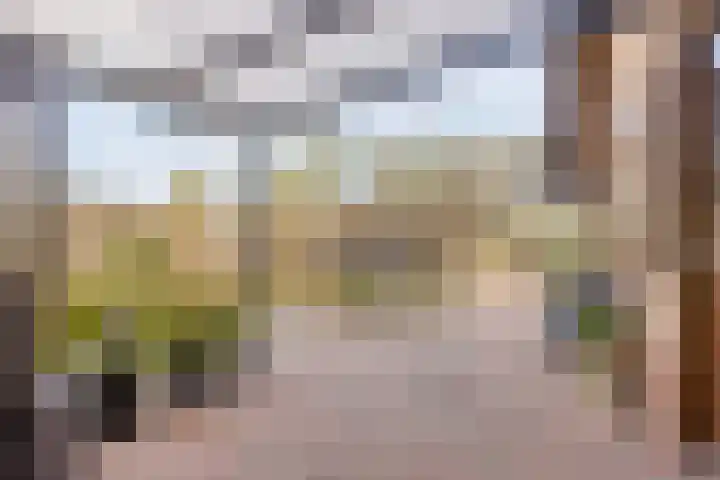 Bonenburgerlaan 84 Heerde thumbnail 37