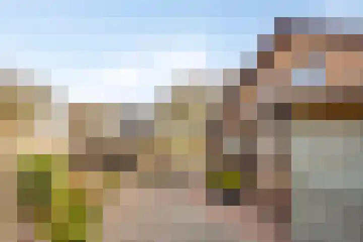 Bonenburgerlaan 84 Heerde thumbnail 41