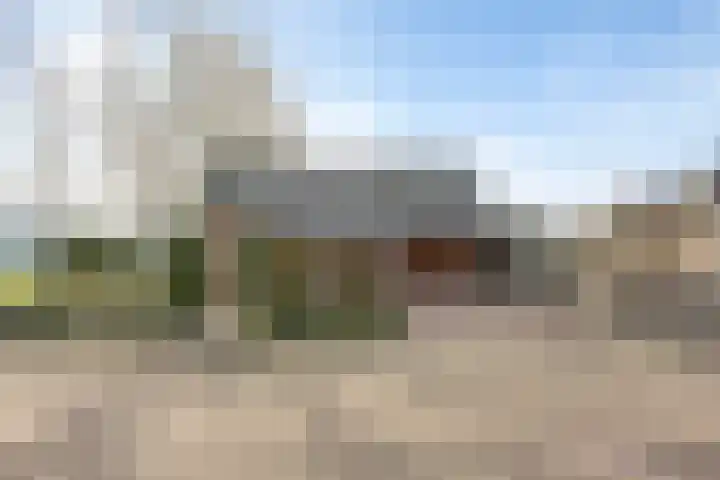 Bonenburgerlaan 84 Heerde thumbnail 42