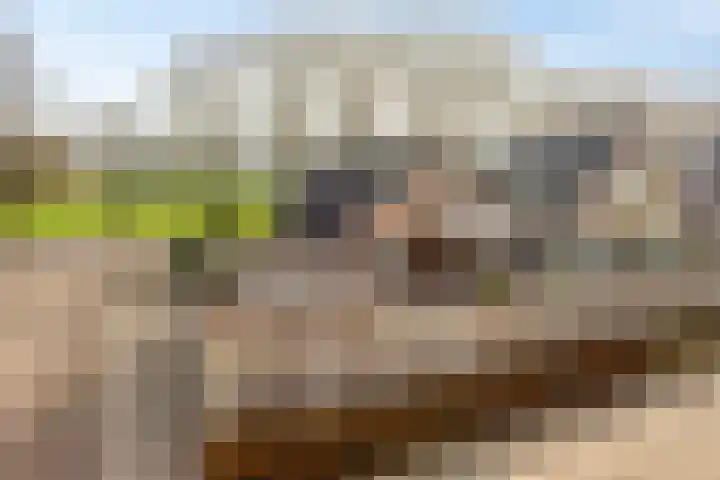 Bonenburgerlaan 84 Heerde thumbnail 43