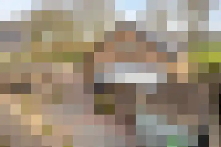 Bonenburgerlaan 84 Heerde thumbnail 44