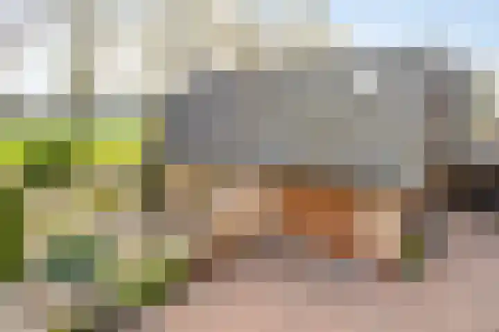 Bonenburgerlaan 84 Heerde thumbnail 45