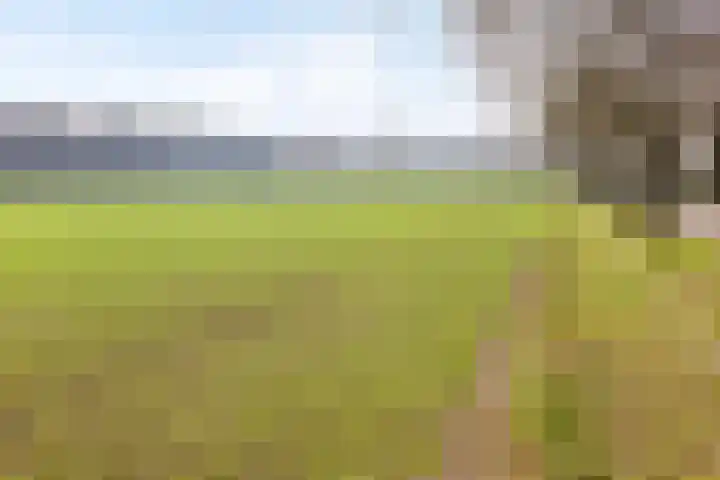 Bonenburgerlaan 84 Heerde thumbnail 46