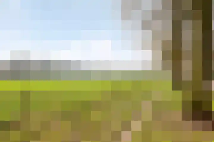 Bonenburgerlaan 84 Heerde thumbnail 47