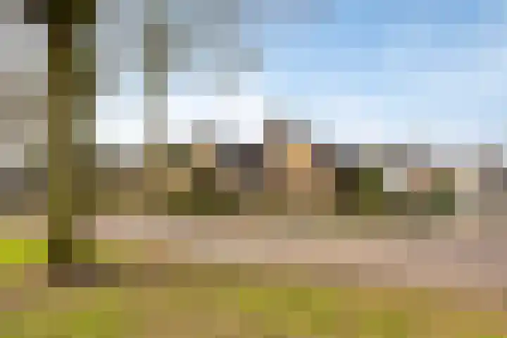 Bonenburgerlaan 84 Heerde thumbnail 48