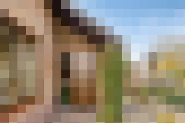Bonenburgerlaan 84 Heerde thumbnail 49