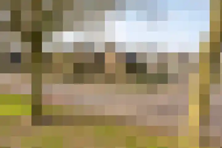 Bonenburgerlaan 84 Heerde thumbnail 50