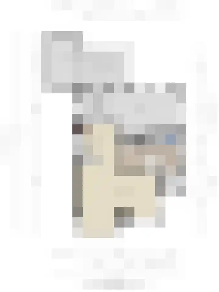 Bonenburgerlaan 84 Heerde thumbnail 56