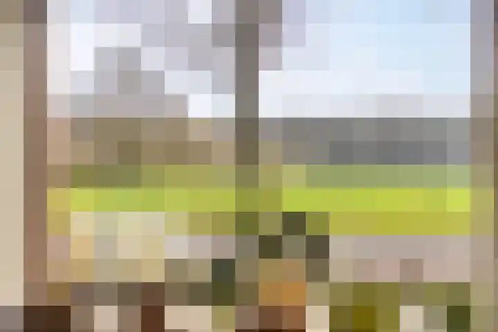 Bonenburgerlaan 84 Heerde thumbnail 6
