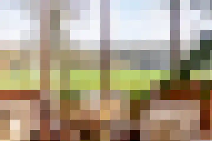 Bonenburgerlaan 84 Heerde thumbnail 9