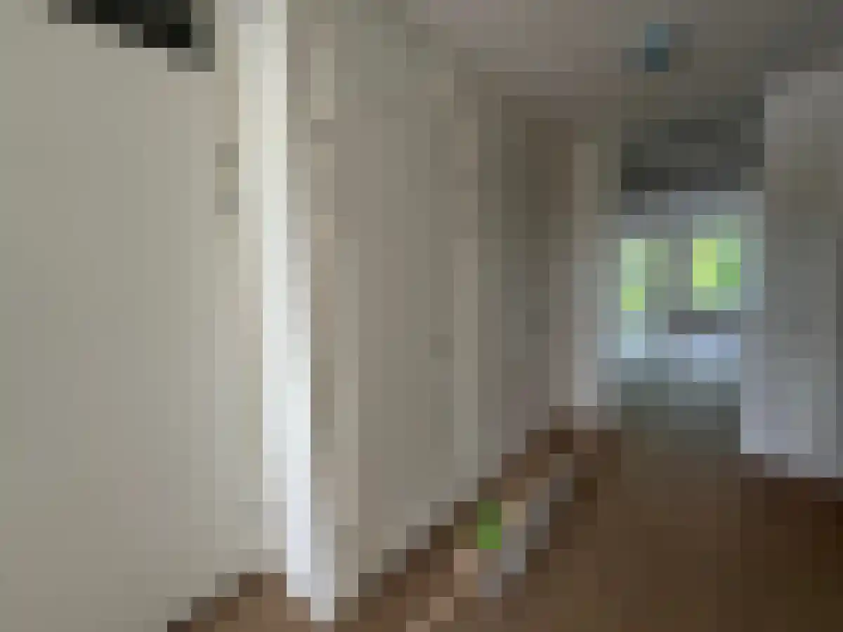 Bonenburgerlaan Heerde thumbnail 4