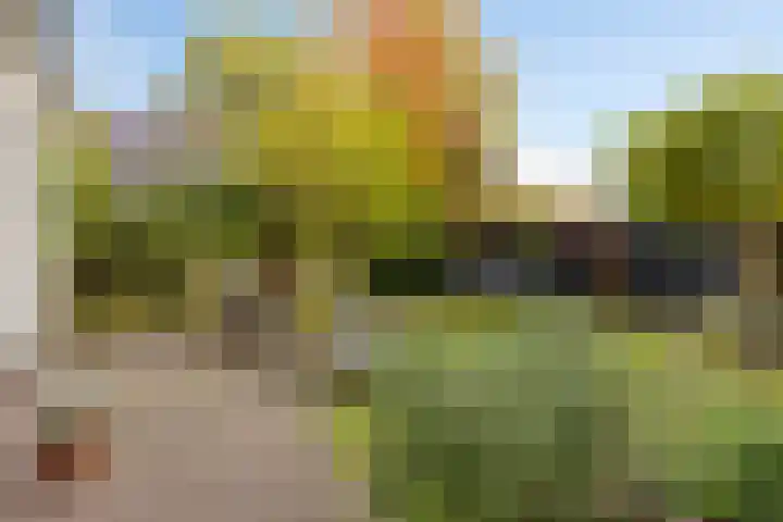 Bonendaal 34 Warnsveld thumbnail 29