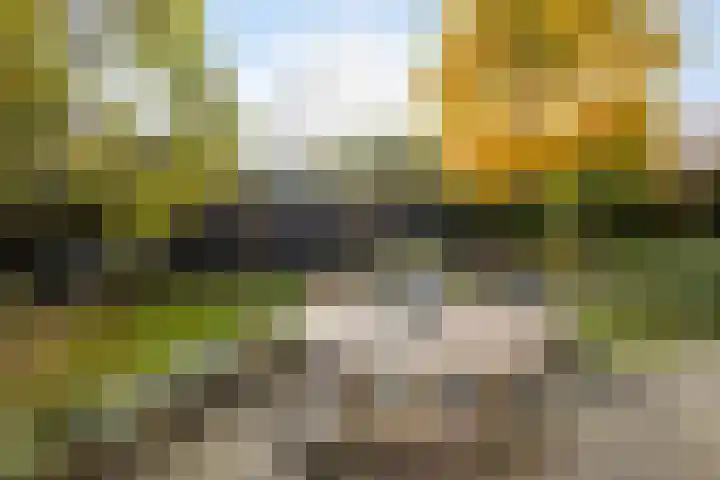 Bonendaal 34 Warnsveld thumbnail 30