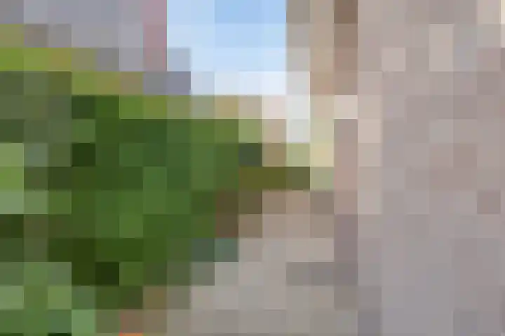 Bonendaal 34 Warnsveld thumbnail 32