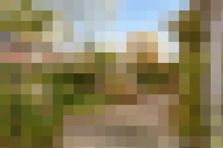 Bonendaal 34 Warnsveld thumbnail 33