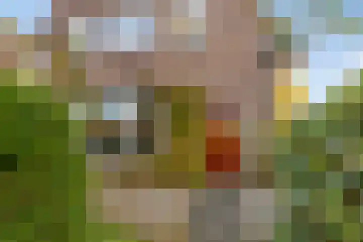 Bonendaal 34 Warnsveld thumbnail 34