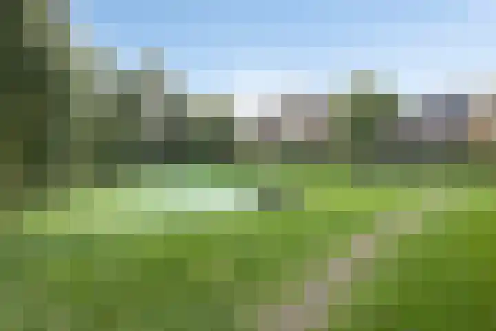Bonendaal 34 Warnsveld thumbnail 37