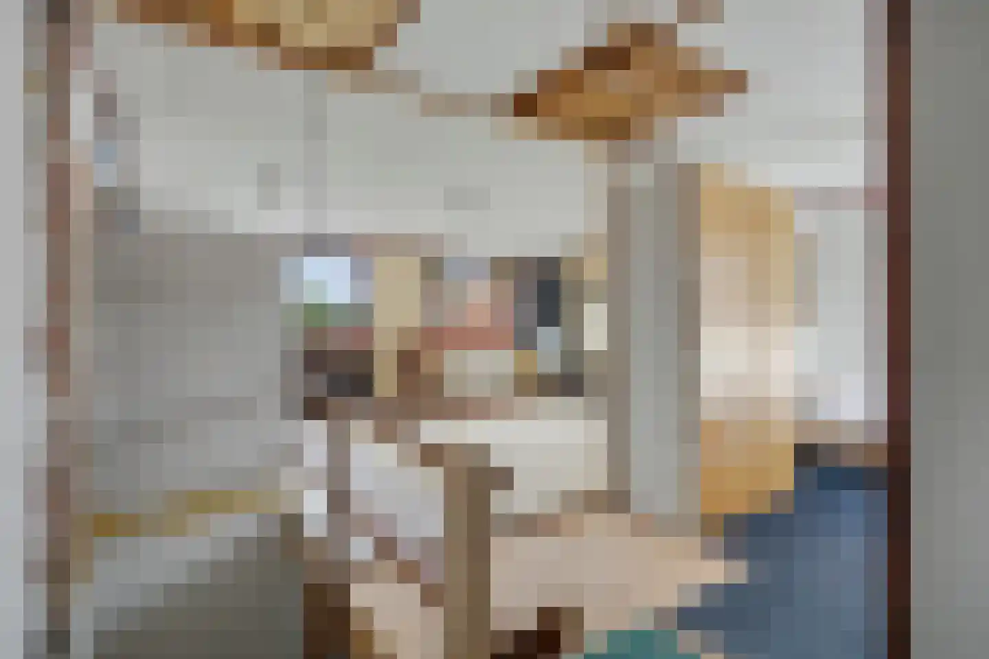 Bonendaal 4 Warnsveld thumbnail 34