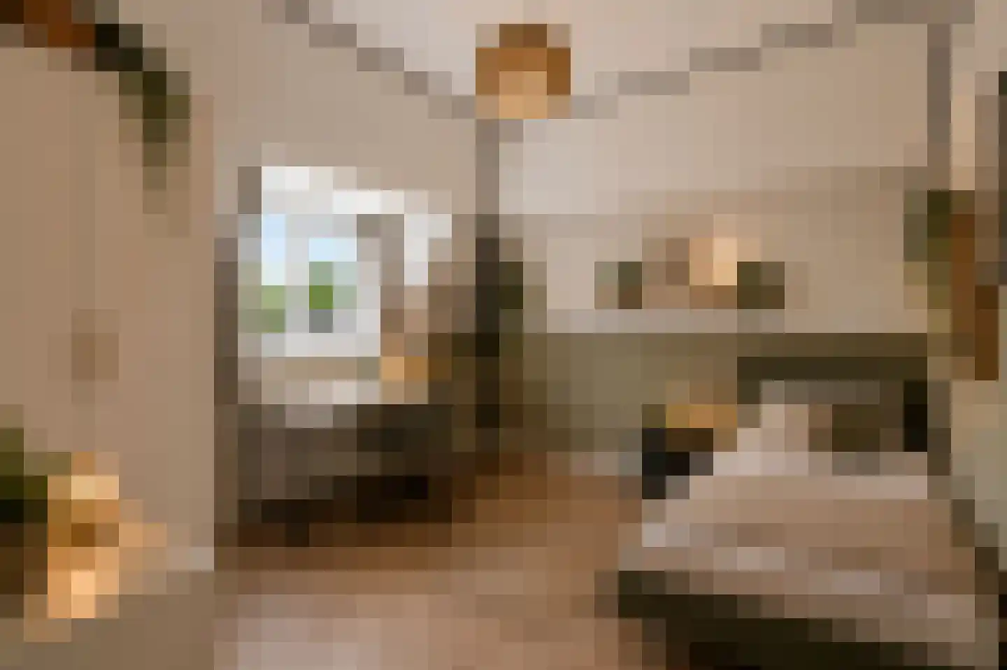 Bonendaal 4 Warnsveld thumbnail 39