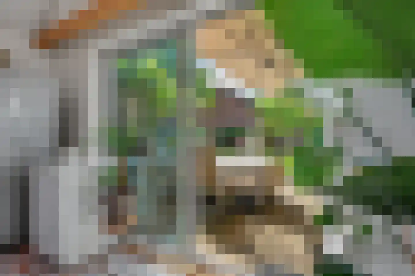 Bonendaal 4 Warnsveld thumbnail 43