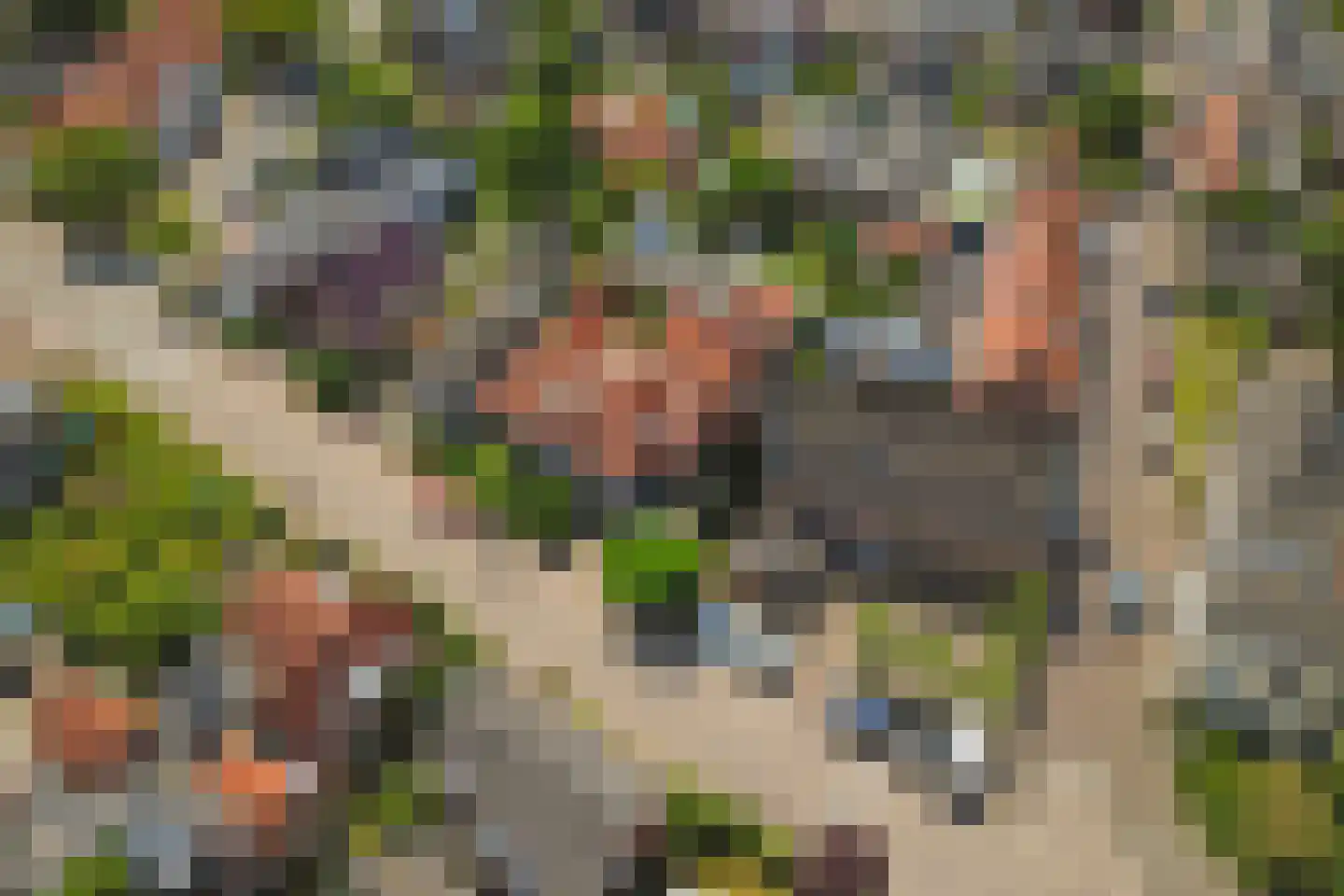 Bonendaal 4 Warnsveld thumbnail 5