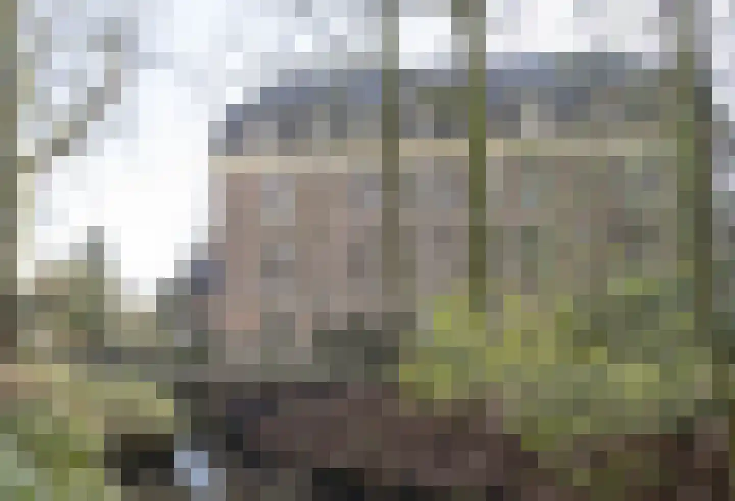 Bonengang 19 Gemert thumbnail 11