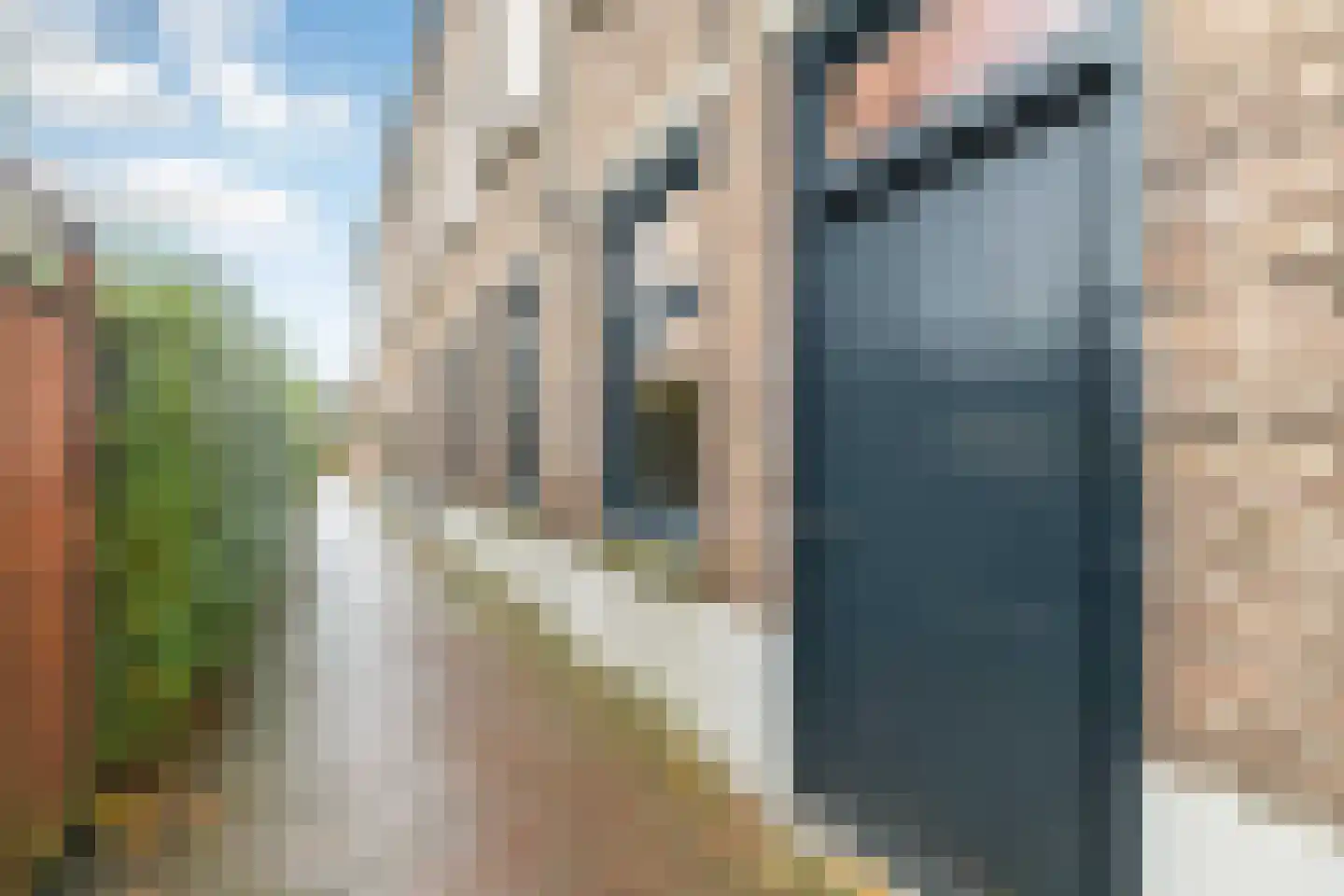 Bonengang 19 Gemert thumbnail 6