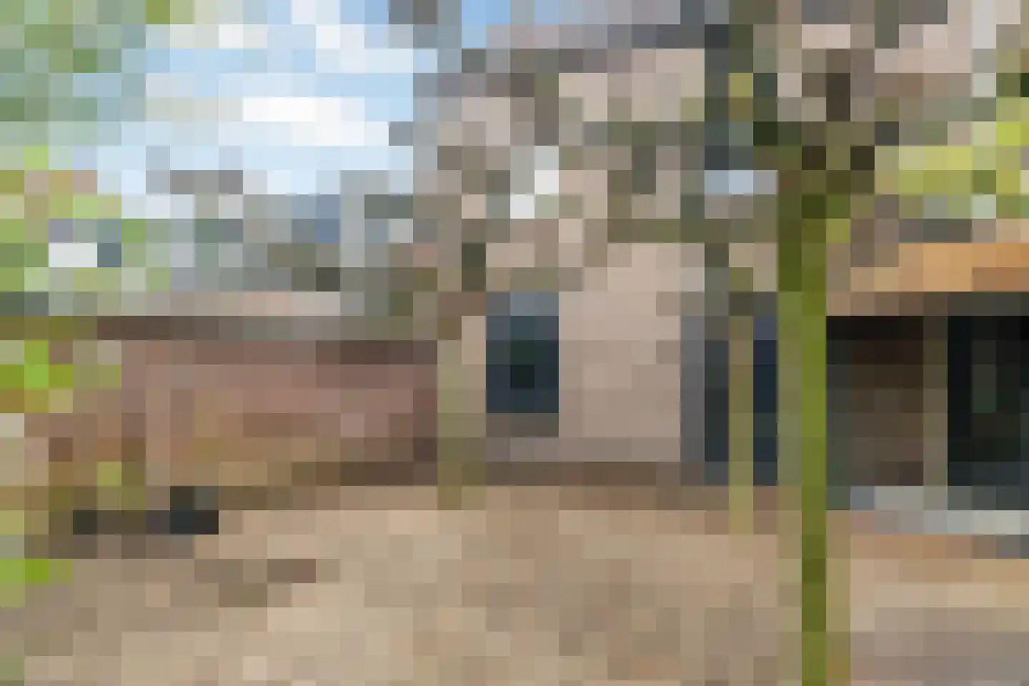 Bonengang 19 Gemert thumbnail 7