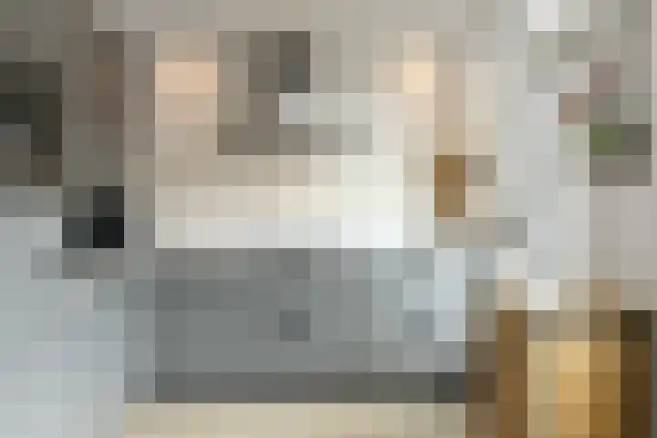 Bonenkamp 18 Elst thumbnail 12