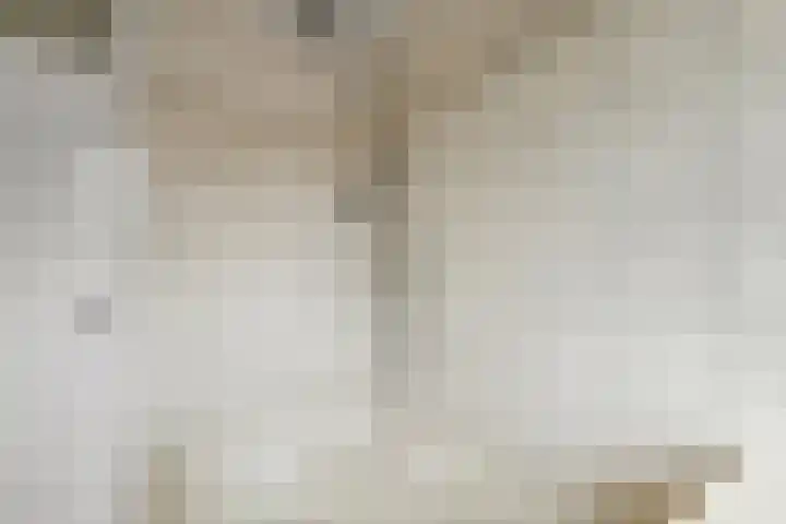 Bonenkamp 18 Elst thumbnail 23