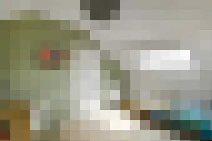 Bonenkamp 18 Elst thumbnail 27