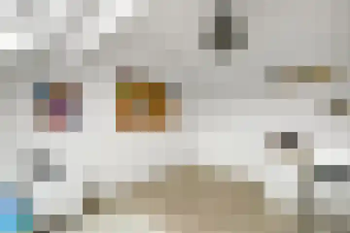 Bonenkamp 18 Elst thumbnail 28