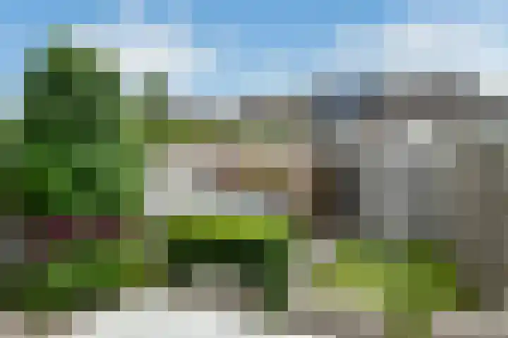 Bonenkamp 18 Elst thumbnail 30