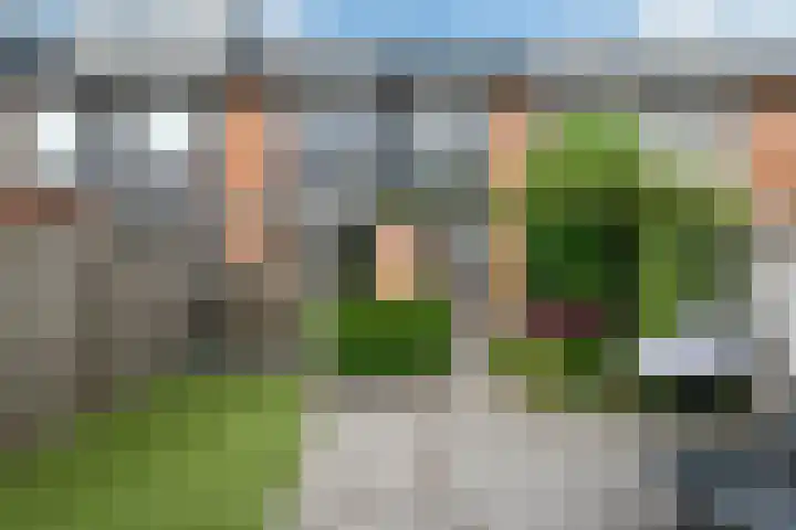 Bonenkamp 18 Elst thumbnail 32