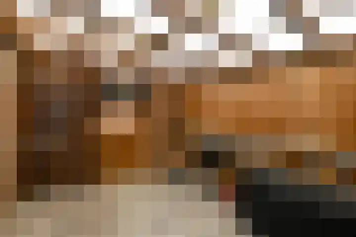 Bonenkamp 18 Elst thumbnail 36