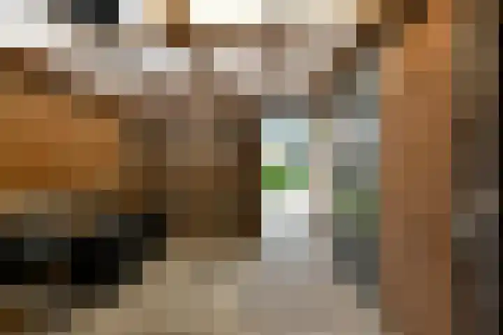 Bonenkamp 18 Elst thumbnail 37