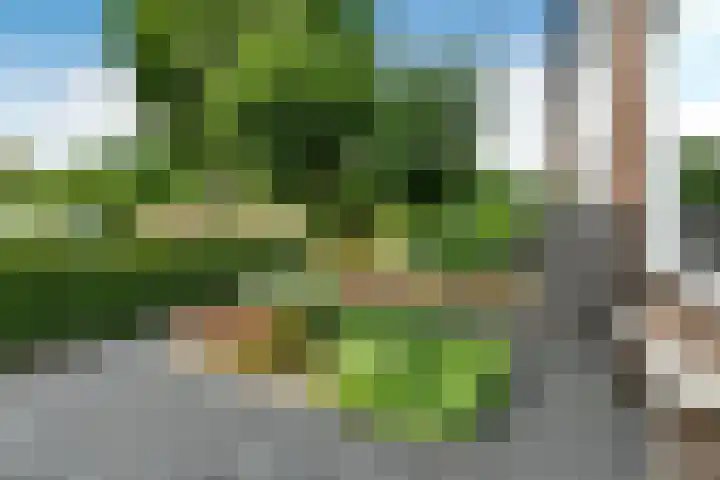 Bonenkamp 18 Elst thumbnail 38