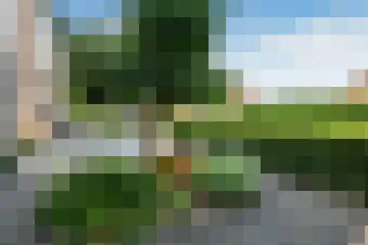 Bonenkamp 18 Elst thumbnail 39