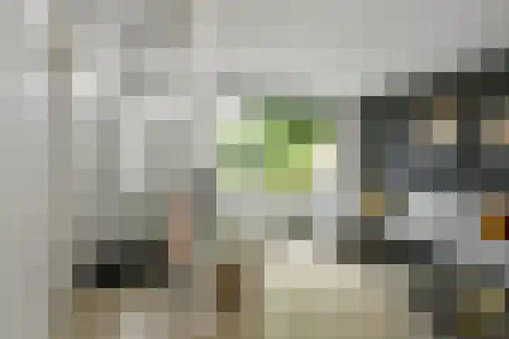 Bonenkamp 18 Elst thumbnail 4