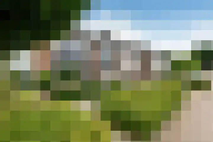 Bonenkamp 18 Elst thumbnail 42