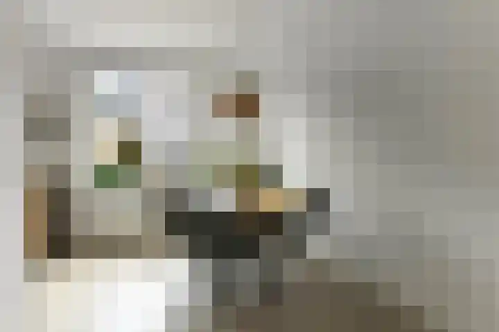 Bonenkamp 18 Elst thumbnail 8