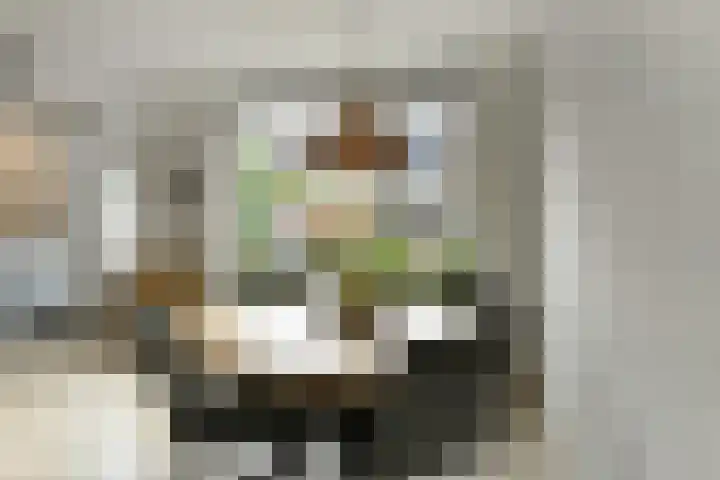 Bonenkamp 18 Elst thumbnail 9