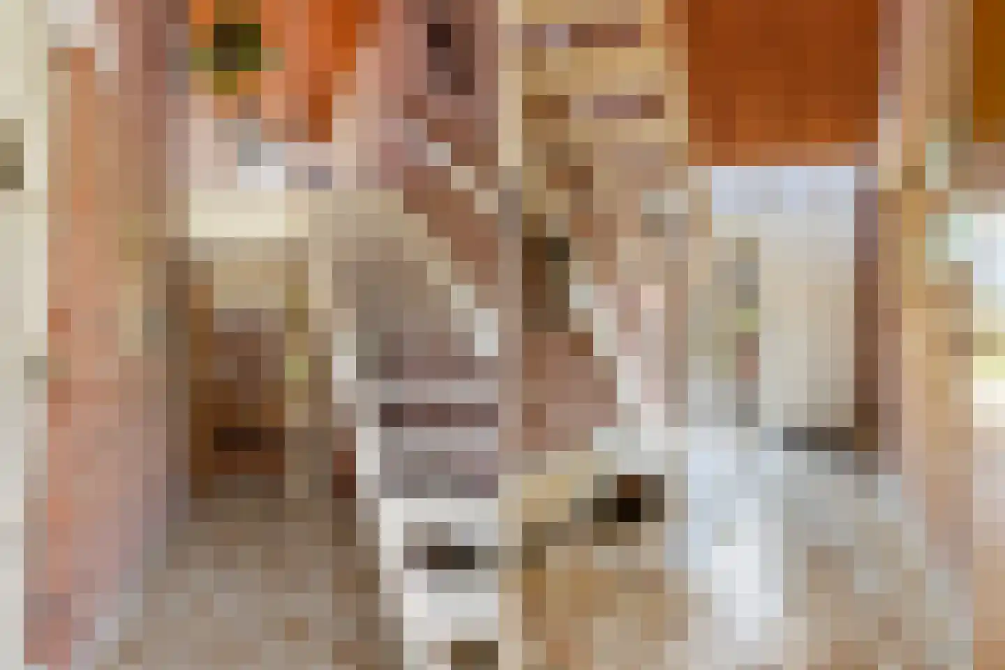 Bonenkamp 19 Rekken thumbnail 10