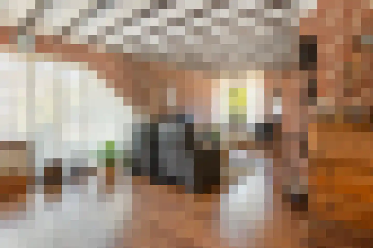 Bonenkamp 19 Rekken thumbnail 12