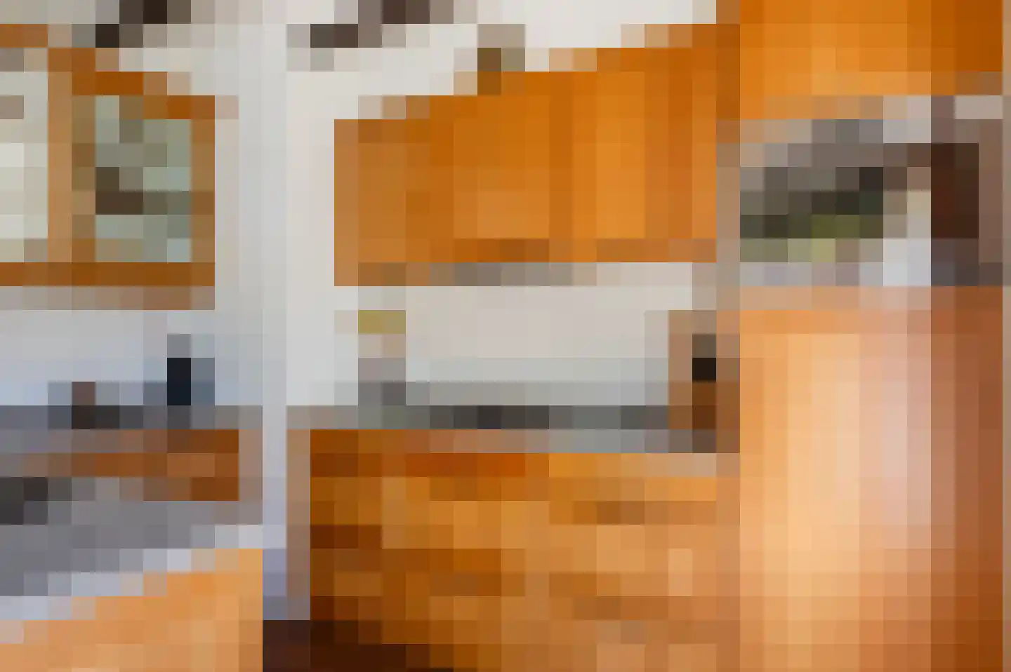Bonenkamp 19 Rekken thumbnail 19