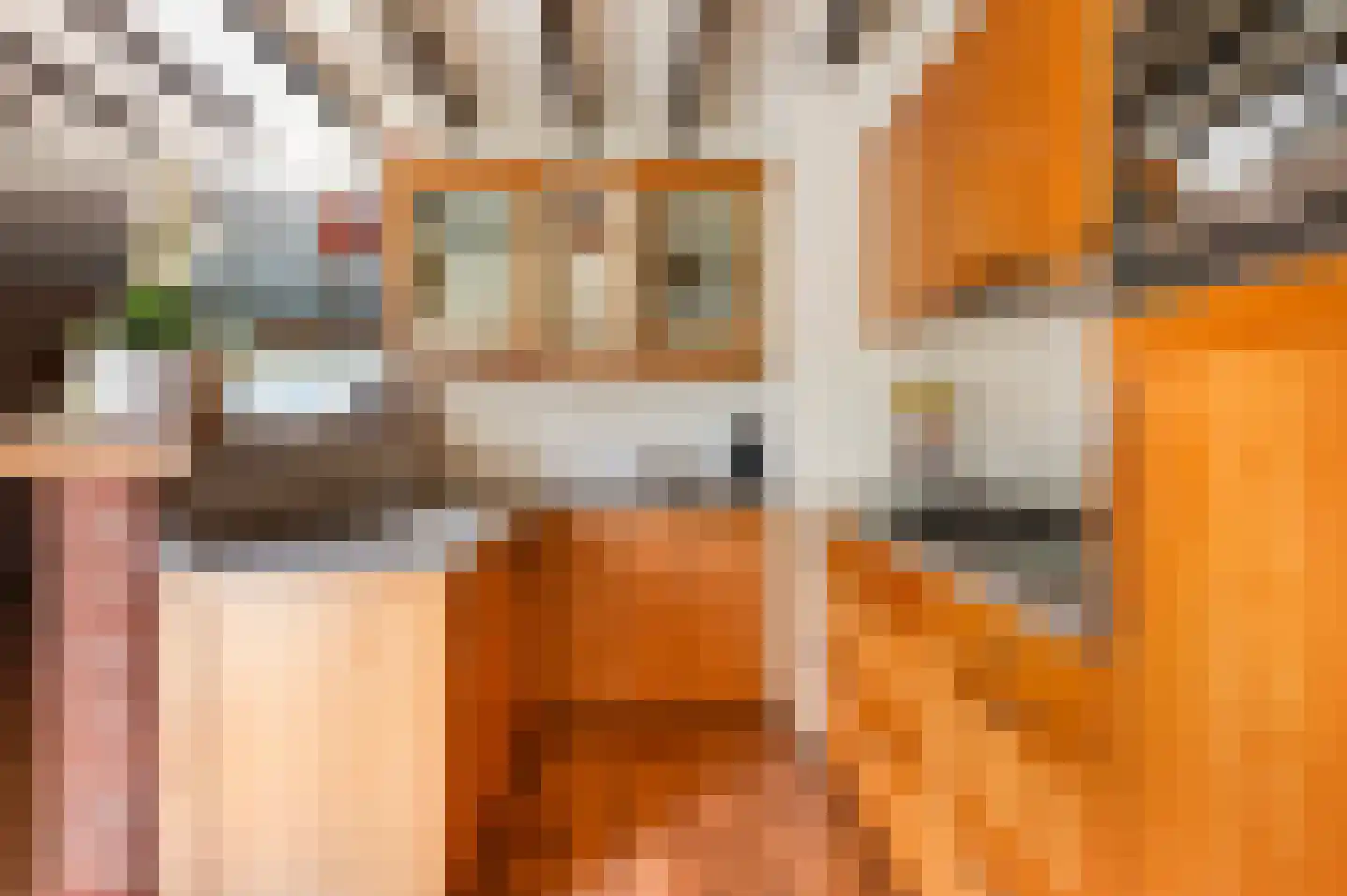Bonenkamp 19 Rekken thumbnail 20