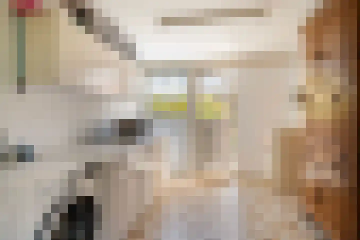 Bonenkamp 19 Rekken thumbnail 22